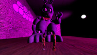 Bonnie the Giant Rabbit