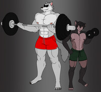 A Boof And A Bean Building Buffness