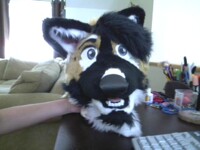 Ruka head= all done!