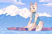 summer surfing