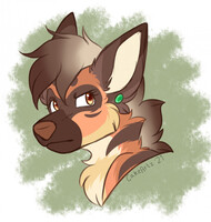 Are you serious right now?