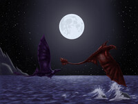 We Just Wanted to Fly Under the Stars