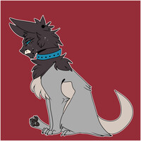 adopt