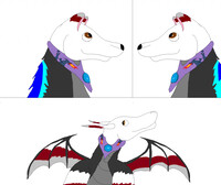 amulet reference