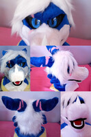 FURSUIT COMISSION 2