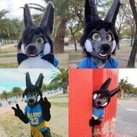 MY FURSUIT