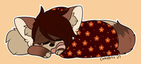 Sleepy pan