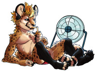 fin fan ych