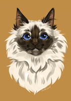 Pet portrait #2