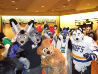 Fursuiters at iFC 2010