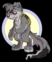 Grey Neopet Hype -comm