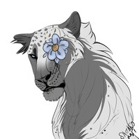 Auction [OPEN] BIG CAT ADOPT