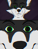Danger Stare (Green)