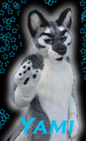 Yami - iFursuit