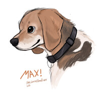 Max!