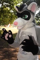 GGE the dragon...as a ferret!