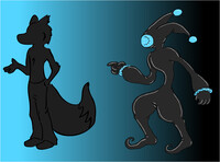 zy paramorph harlekin