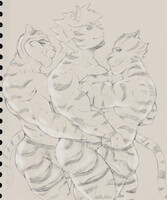 Tigers