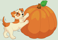 A Big Pumpkin