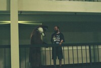 Wildfox tried to poke atta my plump tummy!