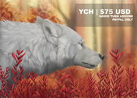YCH: OPEN