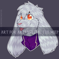 Headshot for arti-vestial