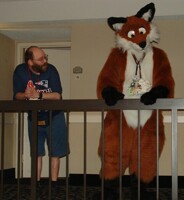 BradHound looked at Wildfox who wandered around.