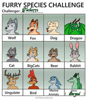Furry Species Challenge