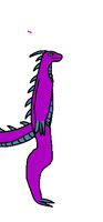 Dragon belly (animation)