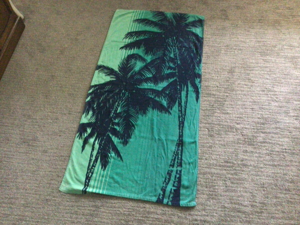 Palm Tree Beach Towel By Herobrinehater Fur Affinity [dot] Net