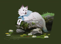 Commission: kyniskos
