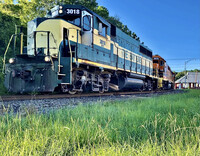 Last Day Under The Sun