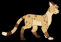 Snowfur [Warrior - Cats] by ~Akatsu -- Fur Affinity [dot] net