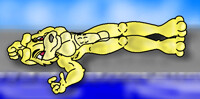 gold puppy