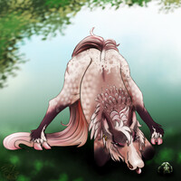 Jack-O Frogbit and Frog Friend