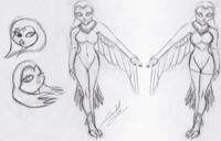 Comish sketch reference sheet