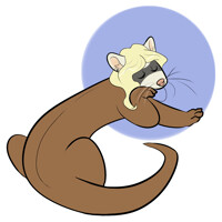 Ferrety Ferret is Pleased!