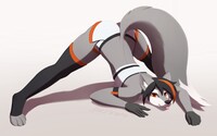 jackochallenge