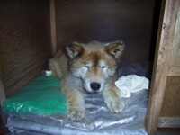 Wakey wakey sleepyhead!