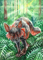 ACEO Cross Fox