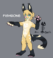 New OC FishBone