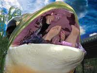 Flavia's hungry frog 3/9B