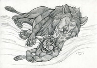 Lions love to sleep so much