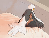 Hisuian Braviary Transformation Chronicle, Part 5