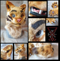 Aegerter Partial Suit