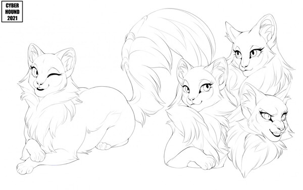 flutterheart on X: I made a reference sheet for Clanborn, pure-bred warrior  cats designs, mapping out each distinctive feature each Clan would possess,  each inspired by a certain big cat! #warriors #warriorcats #