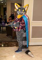 A Possible Ringtail or Raccoon