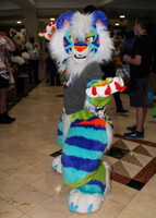 Colorful tiger