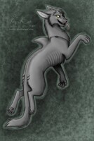 IcyKat
