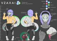 Character Ref Sheet Commission - Vzaxai (SFW)